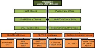 3 Pepfar Organization And Implementation Evaluation Of