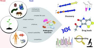 How are plant, animal and bacterial cells different? Bacterial Pathogens Threat Or Treat A Review On Bioactive Natural Products From Bacterial Pathogens Natural Product Reports Rsc Publishing Doi 10 1039 D0np00061b
