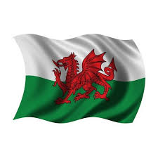 The flag is equally divided horizontally with bands of the two colors. Wales Flag 36x60 A Bit Of Home Canada