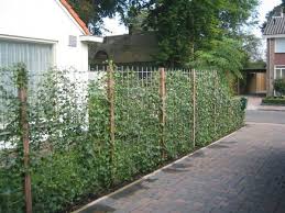 Gartenzaune Garten Garteneingang Garten Und Outdoor