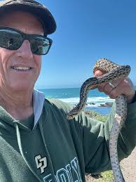Gopher Snake Sighting at Montana De Oro