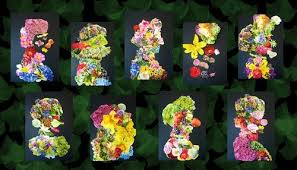 A La Maniere De Giuseppe Arcimboldo Art Plastique Art A La Maniere De