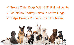 Maybe you would like to learn more about one of these? Amazon Com Premium Liquid Glucosamine Hip And Joint Supplement For Dogs Fast Natural Arthritis Pain Relief And Better Mobility Extra Strength With Chondroitin Msm And Hyaluronic Acid Made In Usa