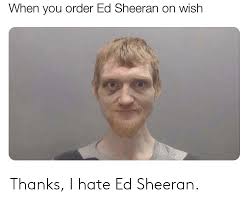 It might be a funny scene, movie quote, animation, meme or a mashup of multiple. Thanks I Hate Ed Sheeran Ed Sheeran Meme On Me Me