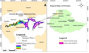 Image result for Achyrospermum schimperi