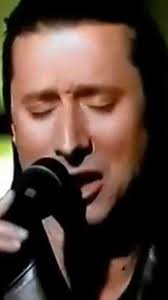 Good night🌟 Steve is really beautiful🩷