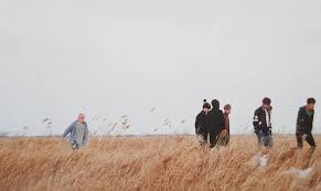 Bts Spring Day Desktop Wallpapers Top Free Bts Spring Day Desktop Backgrounds Wallpaperaccess Multi display, dual monitor : bts spring day desktop wallpapers top