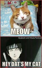 It S Sai S Cat Sai Naruto Naruto Shippuden Anime Funny Naruto Memes