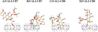 Image result for Valrubicin