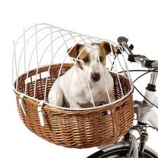 Aumuller Hunde Fahrradkorb Mit Schutzgitter In 2020 Zahnstein Hund Fahrradkorb Hunde