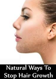It helps to boost your levels of dht and testosterone, dht being a special form of testosterone. 5 Natural Ways To Stop Hair Growth How To Stop Body Hair Growth Gilscosmo Com Shopping Made Easy Unwanted Hair Growth Hair Growth Facial Hair Growth