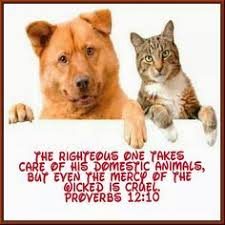 Pin On Children Animals Pets