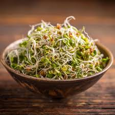 Am besten gelingt das wenn sie im wasserbad gut durchgerüttelt werden. Keime Und Sprossen Klein Zart Und Kraftvoll Brigitte De