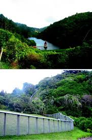 Including nesto ellesmere port, chester & surrounding areas. The Use And Potential Of Pest Proof Fencing For Ecosystem Restoration And Fauna Conservation In New Zealand Springerlink