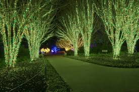 Outdoor Lighting Perspectives Of Nashville Is Thrilled To Be Part Of The Cheekwood Estate Gardens Annual Holida Outdoor Backyard Beautiful Backyards Backyard