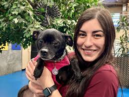 Broadview Dog Boarding & Pet Services