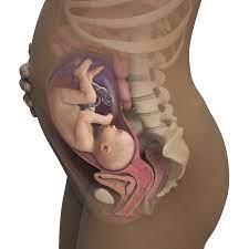 31 Weeks Pregnant Symptoms Signs Babycenter