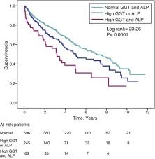 High Levels Of Both Serum Gamma Glutamyl Transferase And