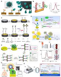 Chemosensors | Free Full-Text | A Review on Potential Electrochemical  Point-of-Care Tests Targeting Pandemic Infectious Disease Detection:  COVID-19 as a Reference
