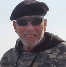 Can the decelerator button be replaced