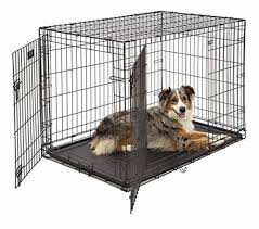 Remember, the most important thing to keep in mind when selecting a crate mat is your individual dog's needs. How To Crate Train Your Dog According To Experts
