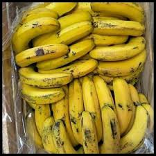 Check spelling or type a new query. Jual Promo Pisang Ambon 1 Sisir Buah Pisang Ambon Pisang Buah Buahan 1 8 S D 2kg Di Lapak Freeya Plaza Bukalapak