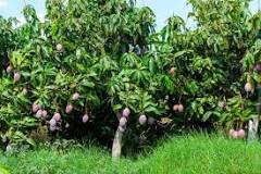 Image result