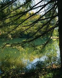 So, I've been in a bit of a creative funk lately, and work's been crazy  busy. But then I took a walk around this neighborhood and was reminded how  much cool stuff