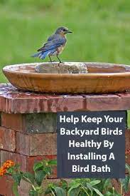 Maybe you would like to learn more about one of these? 25 Stellar Bird Bath Ideas For Your Backyard In 2021 Bird Bath Backyard Backyard Design