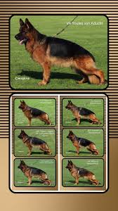 Wolfgang Krumnack (@wolfgangkrumnack) • Threads, Say more