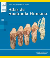 El de 6 altas de 6 no ay no echieste ni el año pasado nadaa mas ay de 5 y 4 no de 6 y si. Libro Atlas De Anatomia Humana Mark Nielsen Shawn Miller Isbn 9788491105084 Comprar En Buscalibre