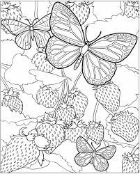 It's posted at nature category. Free Printable Butterfly Coloring Pages For Kids
