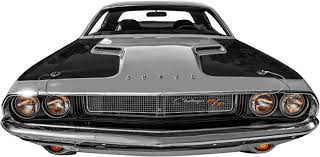 Image result for Golden Fawn 1974 Challenger