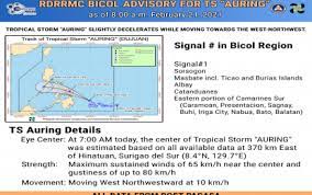 Twitter has given no further details, and declined to confirm online claims that the service could allow users to. Bicol Now Under Blue Alert For Auring Philippine News Agency