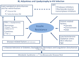 lipodystrophy the metabolic link of hiv infection with