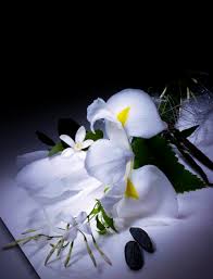 La Vie Est Belle L Eau De Parfum Legere Lancome La Vie Est Belle L Eau De Parfum Legere Plants