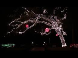 Festival Of Lights At Stephen Foster State Park Festival Lights State Parks Stephen Foster