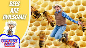Bees Are Awesome for Kids