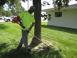 That is why we want you to know all about frontier lawn & landscape: Waterloo Landscaping Lawn Care Frontier Lawns