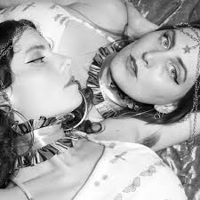 We are stoked to welcome Brisbane's Nice Biscuit to the Greenway family!  Nice Biscuit create their