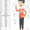 Merasa sulit belajar dan menghafalkan vocabulary/kosakata bahasa inggris. 1