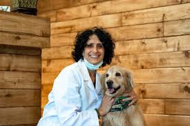 Its convenient location to downtown, the university area, the avenues, federal heights, and sugarhouse, makes it an ideal choice for greater salt lake area residents. Neighborhood Veterinary Care
