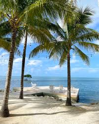 No bad views 🌊 Every room and suite at Isla Bella Beach Resort has a  private balcony or terrace facing the ocean so you can soak in gorgeous  views morning, noon and