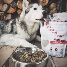 Win A Prize Pack Of Dog Food And Treats From I And Love And You Dog Food Recipes Food Whole Food Recipes