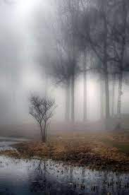 Silence Click Here To Download Wallpaper Hd Nature Download Wallpaper Hd Nature Silence Here Nature Photography Beautiful Nature Beautiful Landscapes