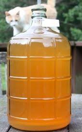 Clearing Cloudy Apple Wine Naturally Apple Wine Peach Wine Homemade Wine