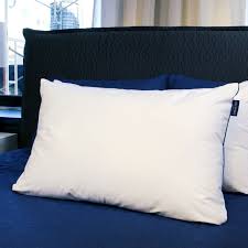 Pillows Therapedic