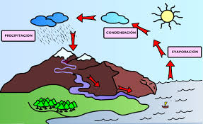 ✅ descubre la importancia del ciclo hidrológico ciclo del agua: File Ciclo Del Agua Color Jpg Wikiquote