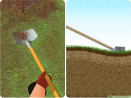 Cool zones include fescue grass and kentucky bluegrass. 4 Ways To Topdress A Lawn Wikihow