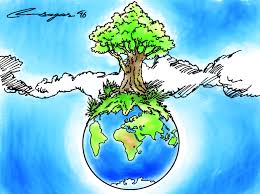 Image result for environment